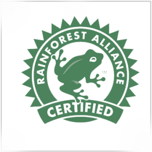 Rainforest Logo